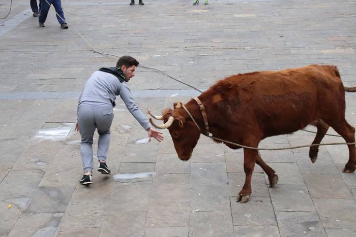 Zezenaren aurrean korrika 15 1551703567597