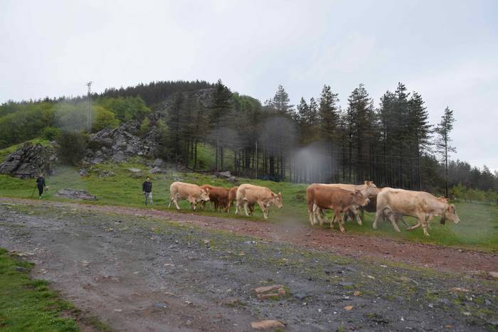 Larre irekiera Berastegi 202 15 1621072175327