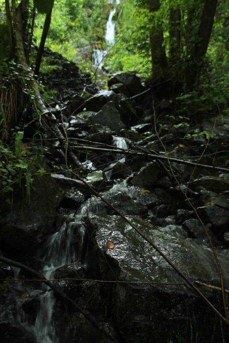 Txoko zaharberrituak, irisga 4 1532612782293