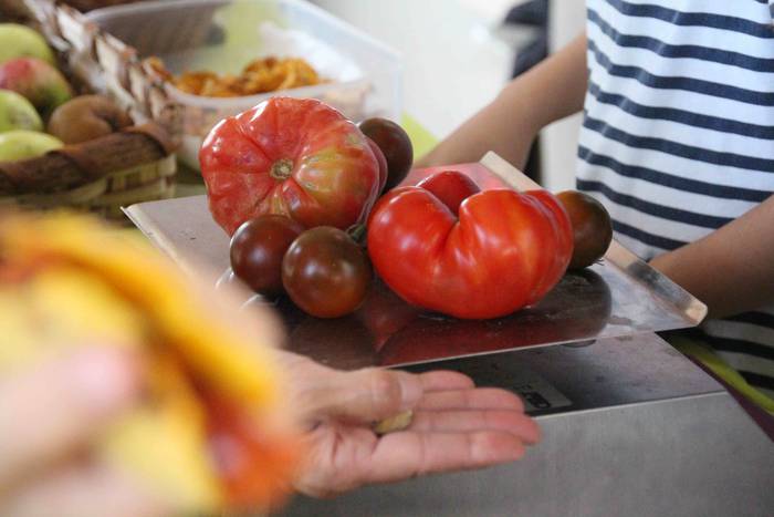 Zizurkil herrigunea Azoka Be 11 1570974679288