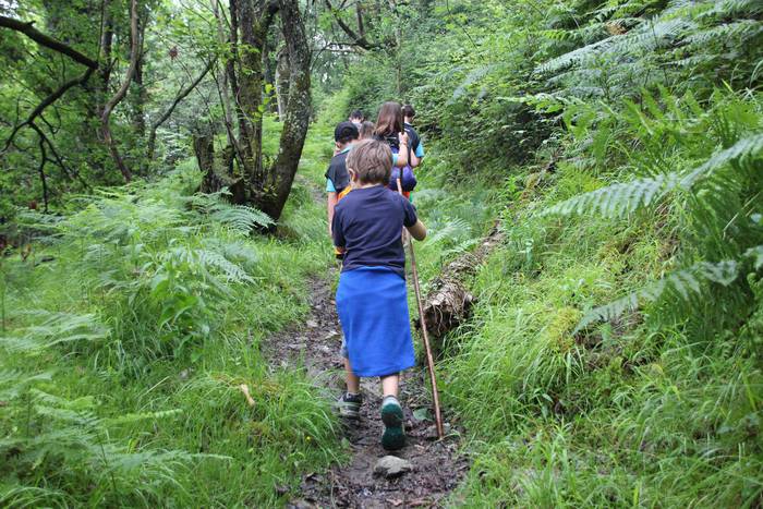 Lizartza, Axurdario, diberts 48 1624104193386