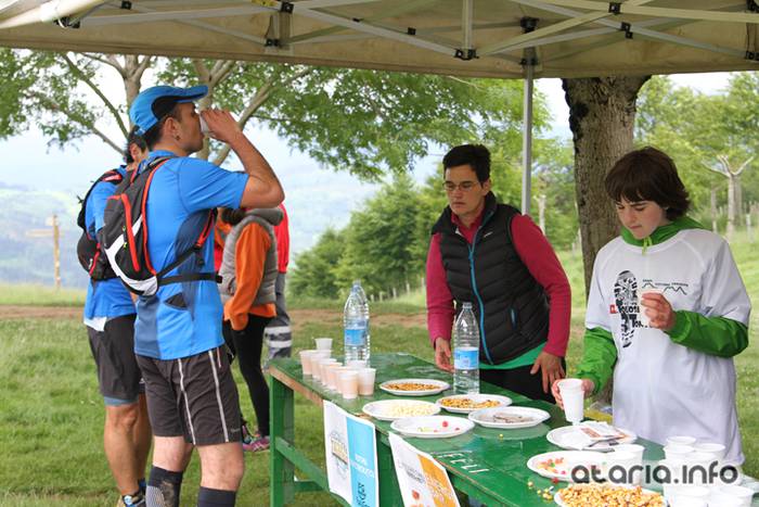 T3T tontor 2016 hernio 89 1466351104008