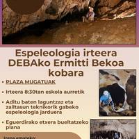 Irteera
