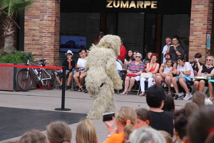 Izenak berak dioen bezala 28 1532889976632