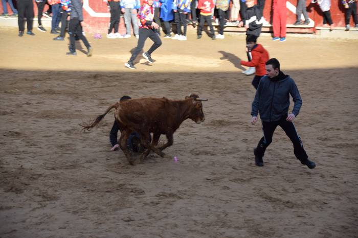 xexenak ostiral mehea 16 1645807730758