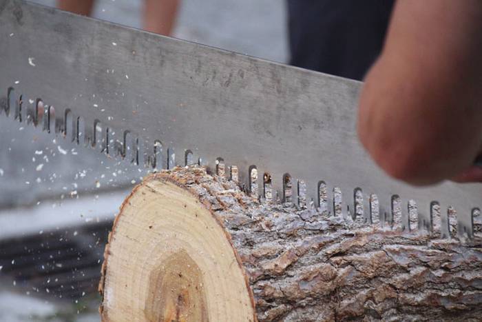 Egurra izan da nagusi Gaztelun 3 1471282901792