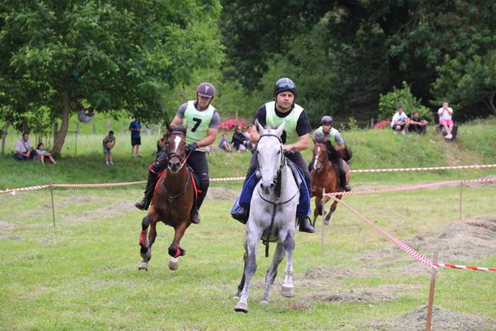 Zaldien gainean lehian 33 1497207301251