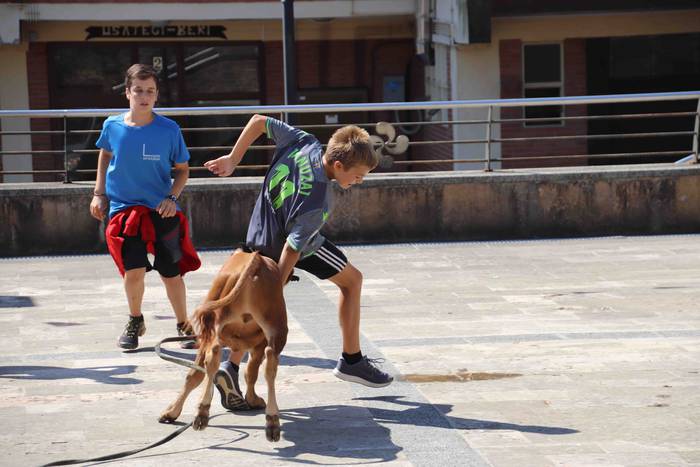 Festak hasteko, poniak eta z 58 1566994019657