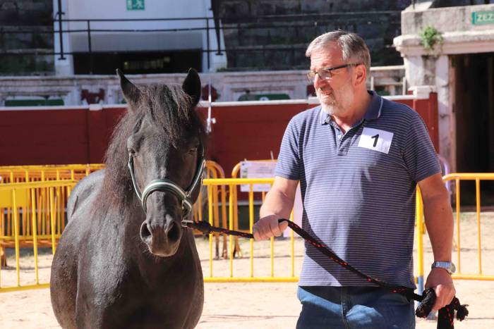 pottoka topaketa tolosa 13 1537627177329