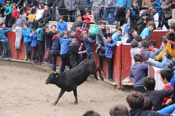 Txaranga eta zezenak piñata  8 1488738766035