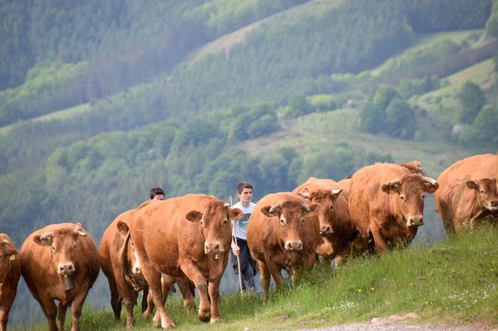 BERASTEG LARRE IREKIERA 2022 18 1652525078327