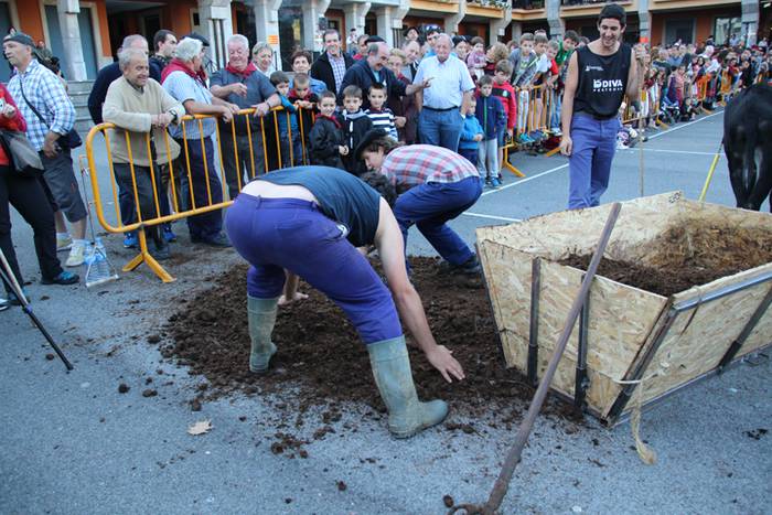 Gazteak nagusi, ximaurra gar 23 1507490529100