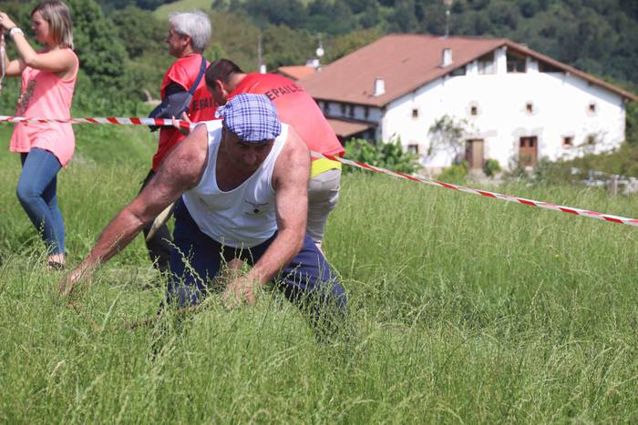 Erabaki dira Euskal Herriko  44 1532870372917