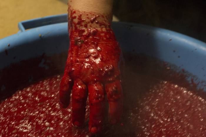 Elikaduratik, kulturatik hai 30 1510577201093