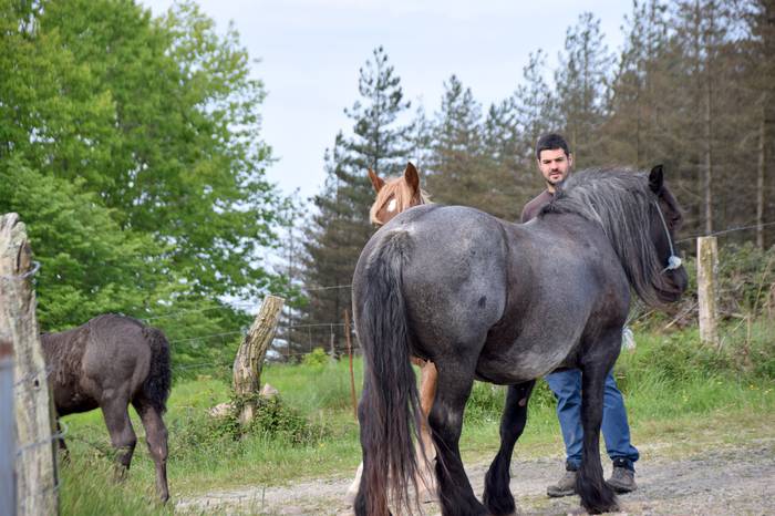 BERASTEG LARRE IREKIERA 2022 8 1652525076591