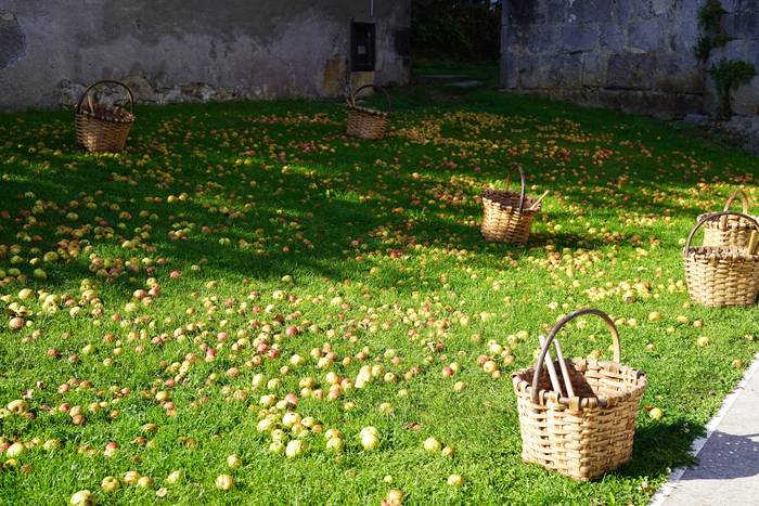 Sagar uzta festa jendetsua 7 1760790628998