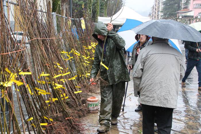 Zuhaitz Azoka Tolosan 2016 29 1456601476947