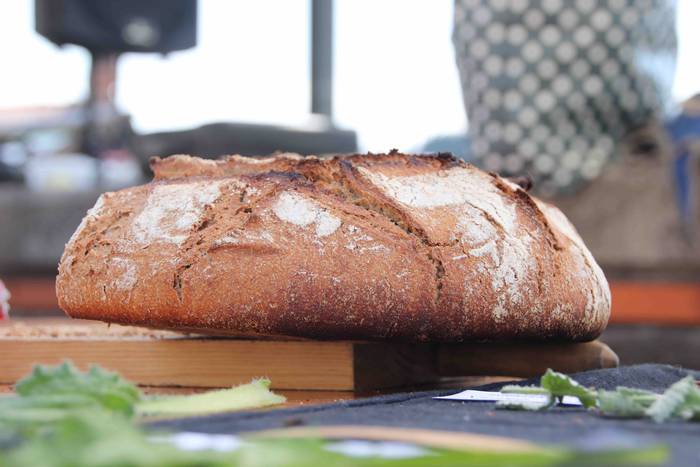 II. Natura, gizakia eta arte 3 1562418793861