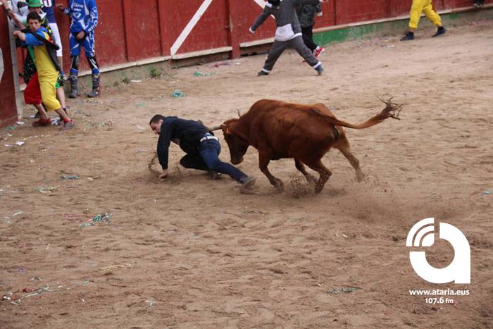 Zezenak adarrak okerrak ditu 100 1488277738293