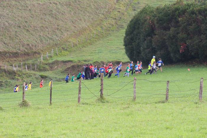 Estutu txikia arnasari  17 1478951427444