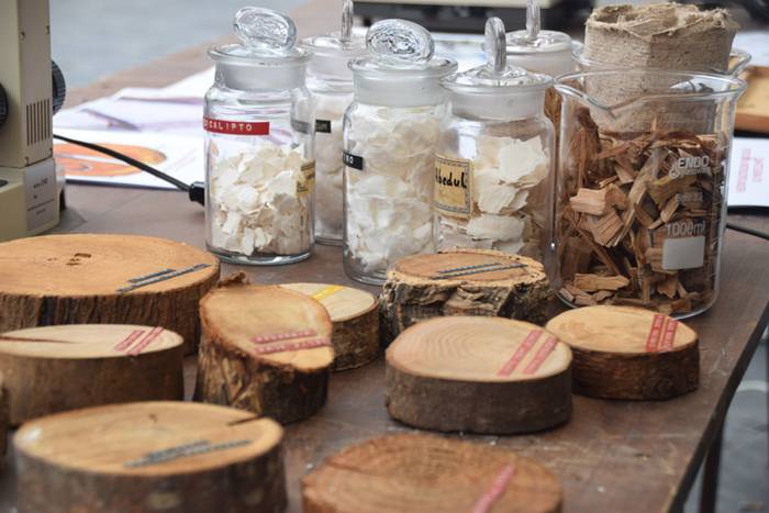 Zuhaitz Azoka, Tolosa, 2017 20 1486819679403