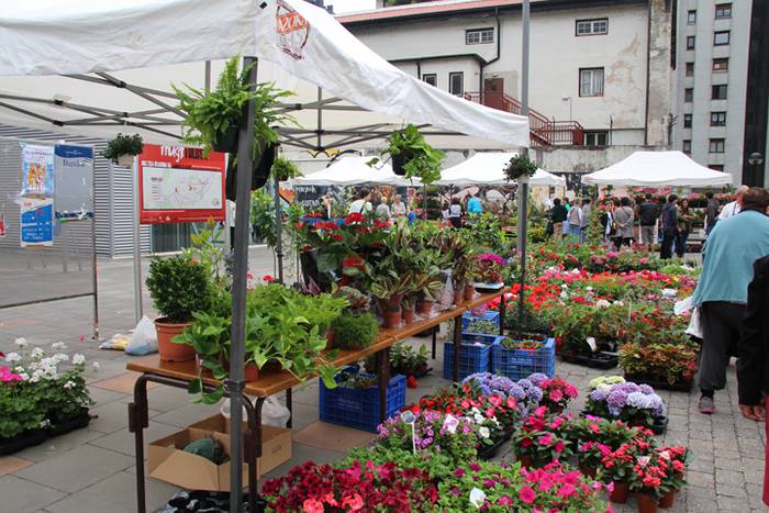 Lore eta Landare Azoka Tolosan 2016 18 1465051788720