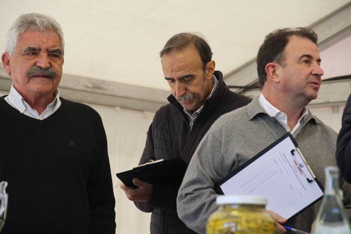 Babarrun platerkada onena, D 40 1511112930499