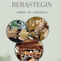 Kultur astea