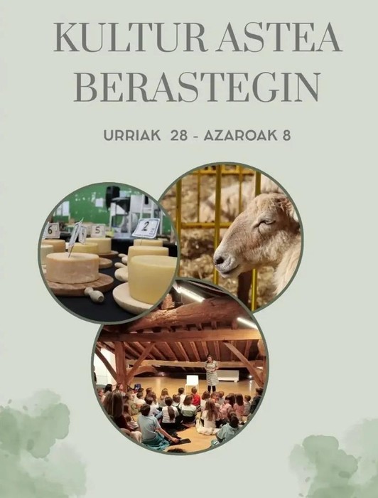 Kultur astea