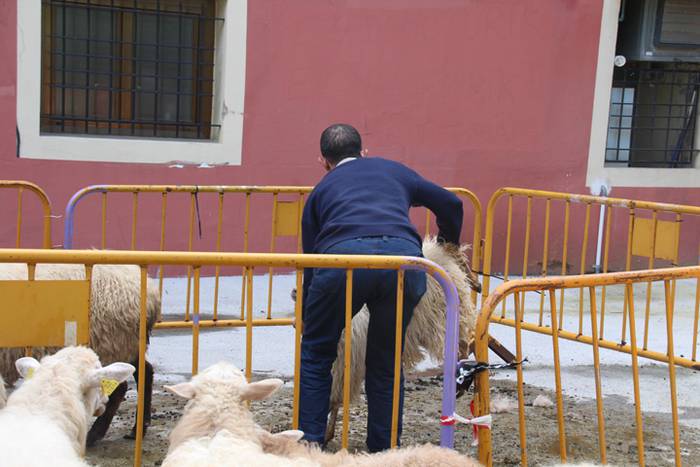 Piperra baino askoz gehiago 2 1505654555290