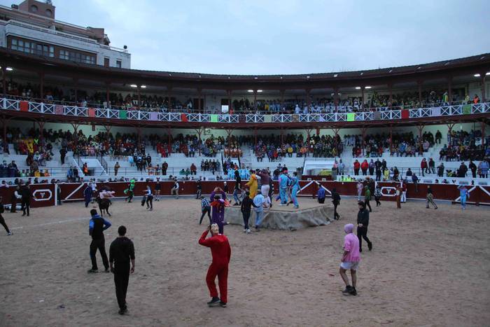 Pattar zezena 26 1582622100595