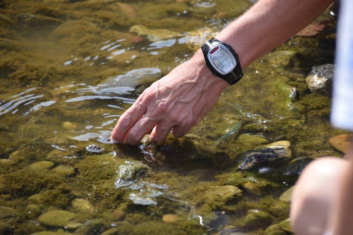 Izokinkumeak, Orian 13 1500724758119