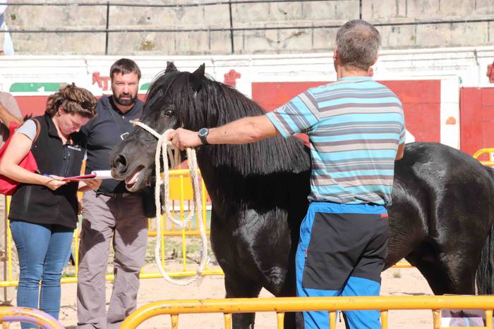 pottoka topaketa tolosa 18 1537627277524