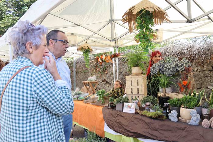 Zizurkilgo herrigunea azoka  19 1665320440650