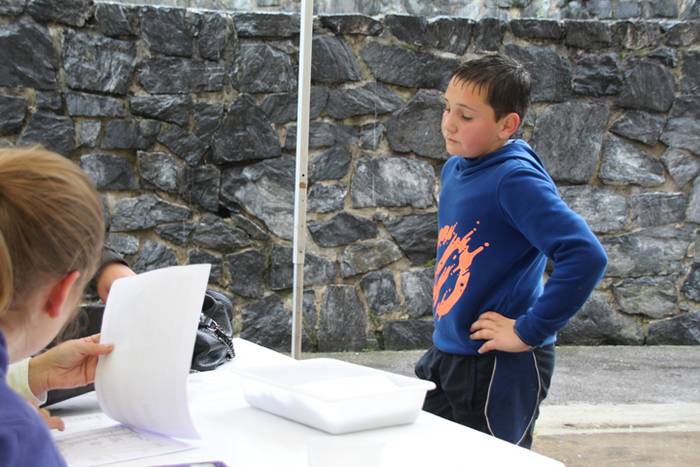 Bedaioko mendietan barrena 12 1496582712112