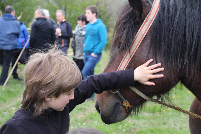 Aralarko larre irekiera 52 1462122140944