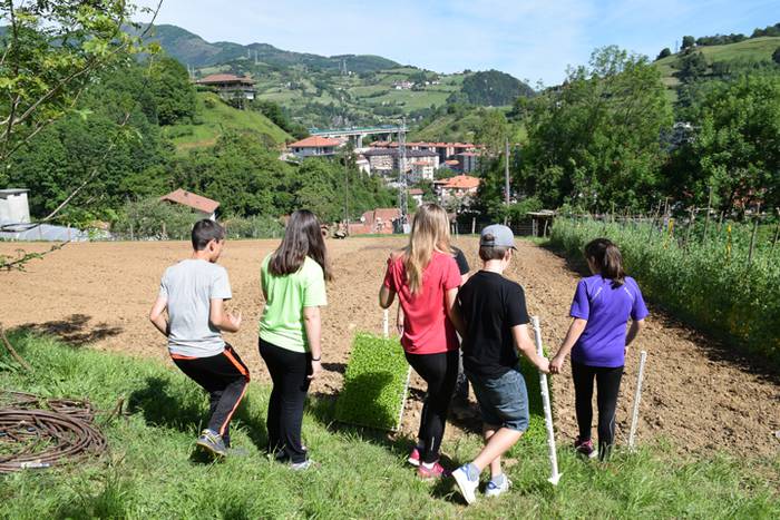 Piper landaketa Ibarran, 201 16 1494844352000