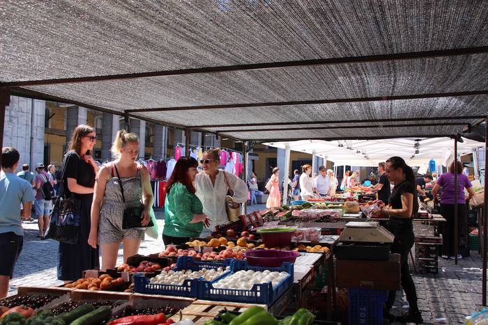 tolosako zokara bisita gidat 19 1657363889976