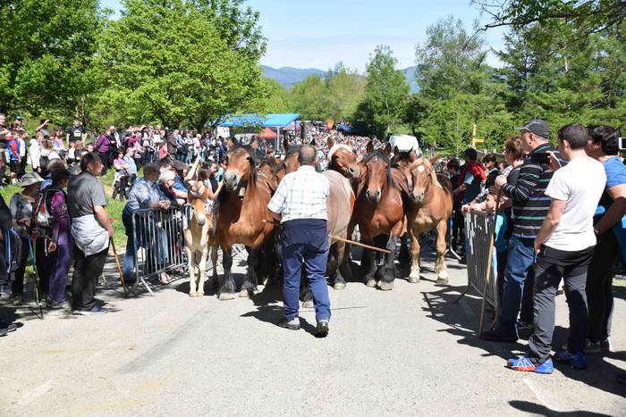 Larrerati dituzte abereak Ar 49 1556716318338