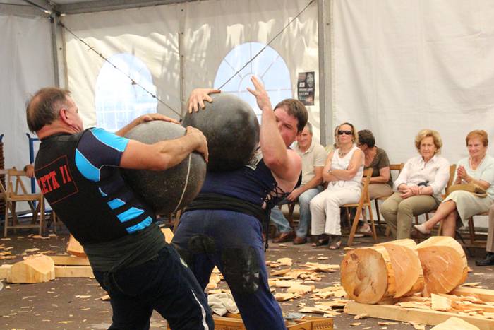 Asteasuko Festak 2016-Erretirodunen Eguna 31 1467297925328