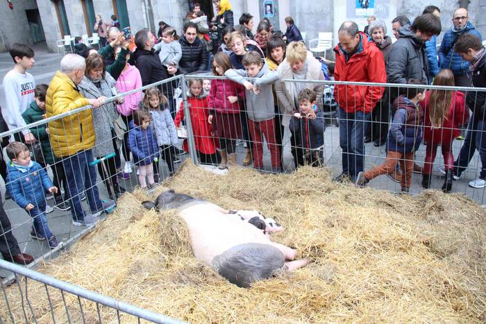 Tolosako Gabonetako Azoka Berezia 2018 21 1545489420703