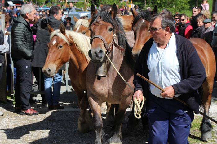 Larre irekiera Larraitzen 20 69 1493640079907