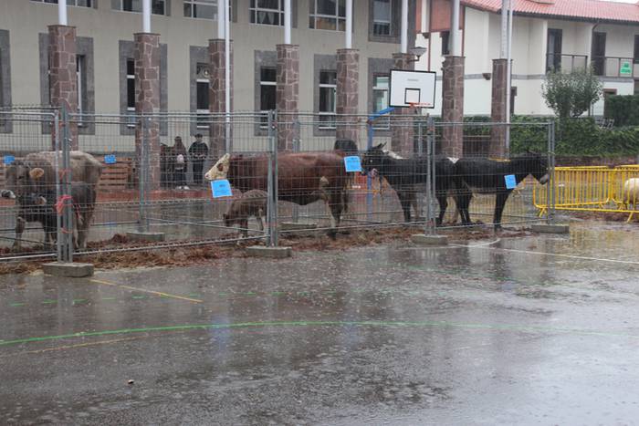 Geroz eta jendetsuagoa 32 1509896986398