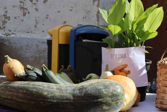 Postu txikiz bete da Alegiko 30 1632658213446