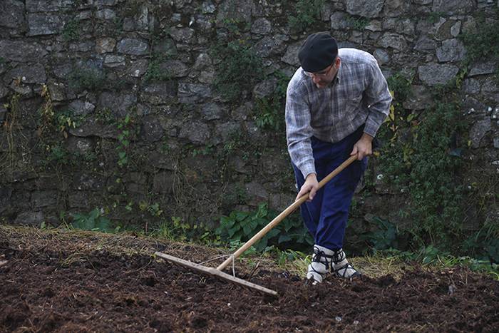 ADUNAKO KULTUR ASTEA 2017. G 2 1511017857782