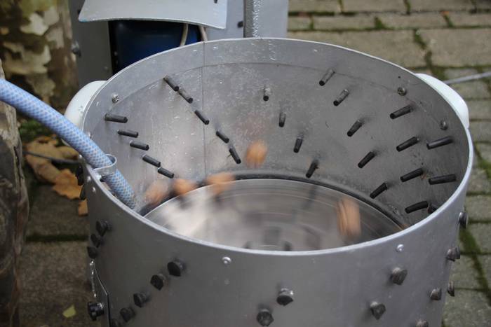 Auzolanaren fruitu, azoka 62 1541961473977