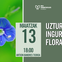 Biodibertsitate Gunea