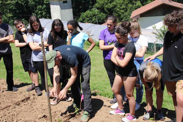 Erein dituzte lehen piperrak 26 1559303474664