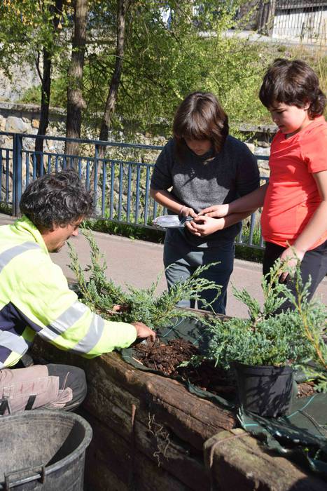 Zuhaitz Eguna ospatzen ari d 9 1553854242068