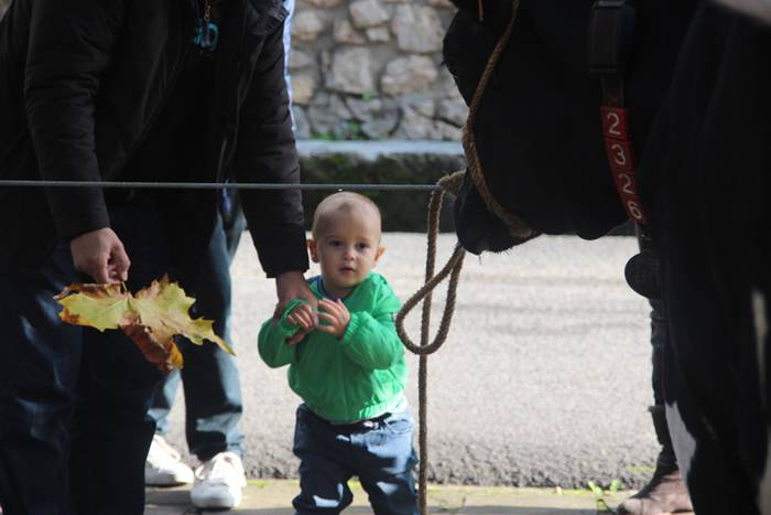 Herritarren salerosketarako  30 1509290440362